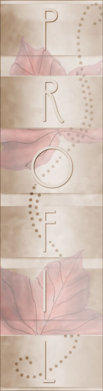 Angebotsübersicht Kosmetikbehandlung Welnessbehandlung, Visagismus, medizinische kosmetische Fusspflege