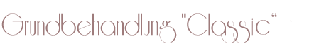 Grundbehandlung Classic