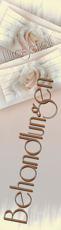 Ultraschall Collagen Elastin Augenringe Falten Hautprobleme Hauttyp