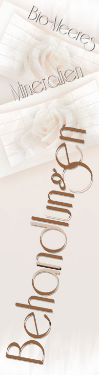 Lymphe Lymphbahnen, ätherische Öle, entwässert, entschlackt entgiftet entsäuert, Mienralstoffe, Säuren, Gelenke, Knochen, abnehmen Bio Meeres Mineralienbehandlung