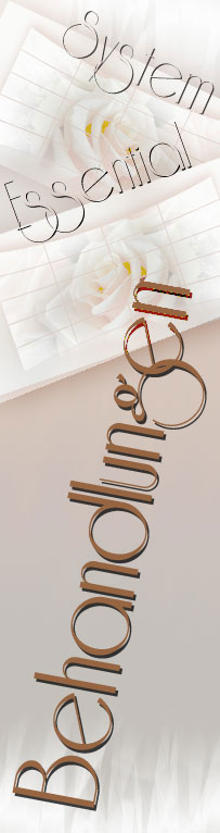 Gesichtsbehandlung System Essential Behandlung Hautanalyse Wirkstoff Haut Gesichtsmasage Durchblutung